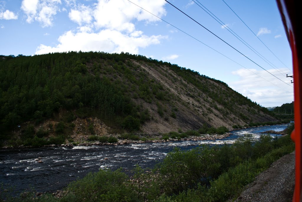 Река Кола недалеко от впадения в Тулому, Кола