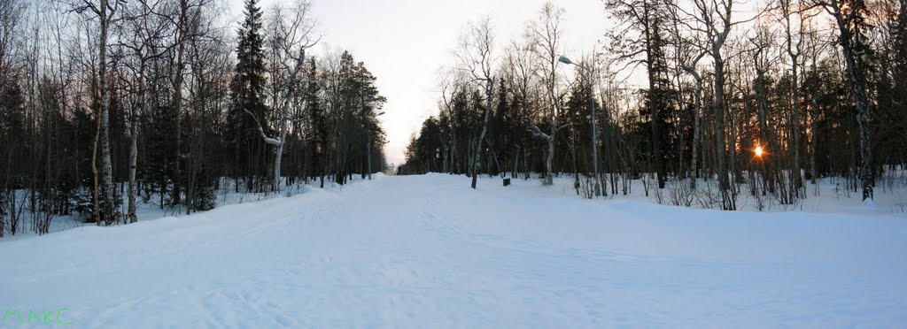 парк 10 февраля 2010, Мончегорск