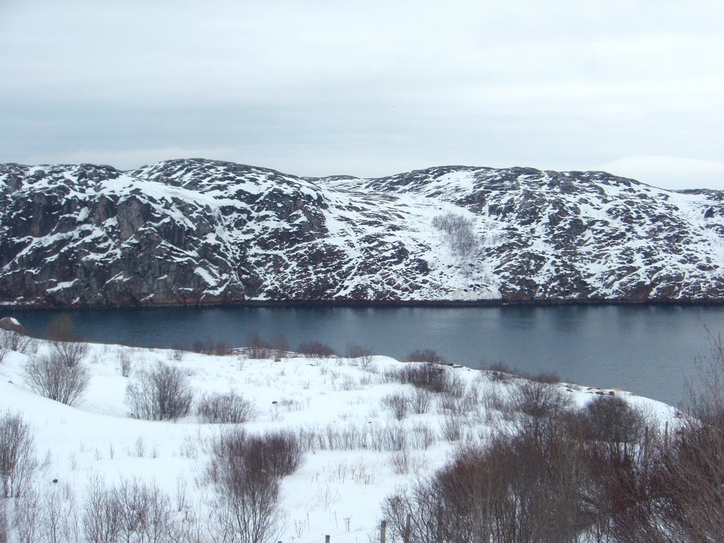 View to Ekaterininsky island, Полярный