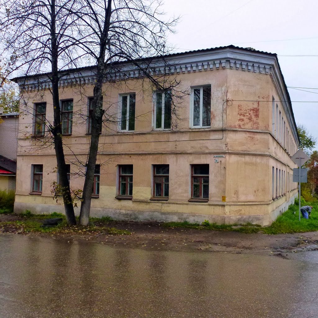 Поселок Боровичи
