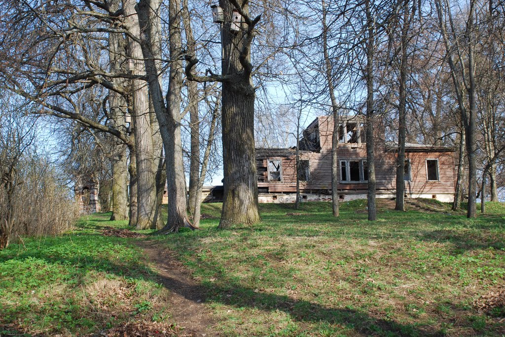 Валдай. Усадьба М.О.Меньшикова. Общий вид руин главного дома из парка, Валдай