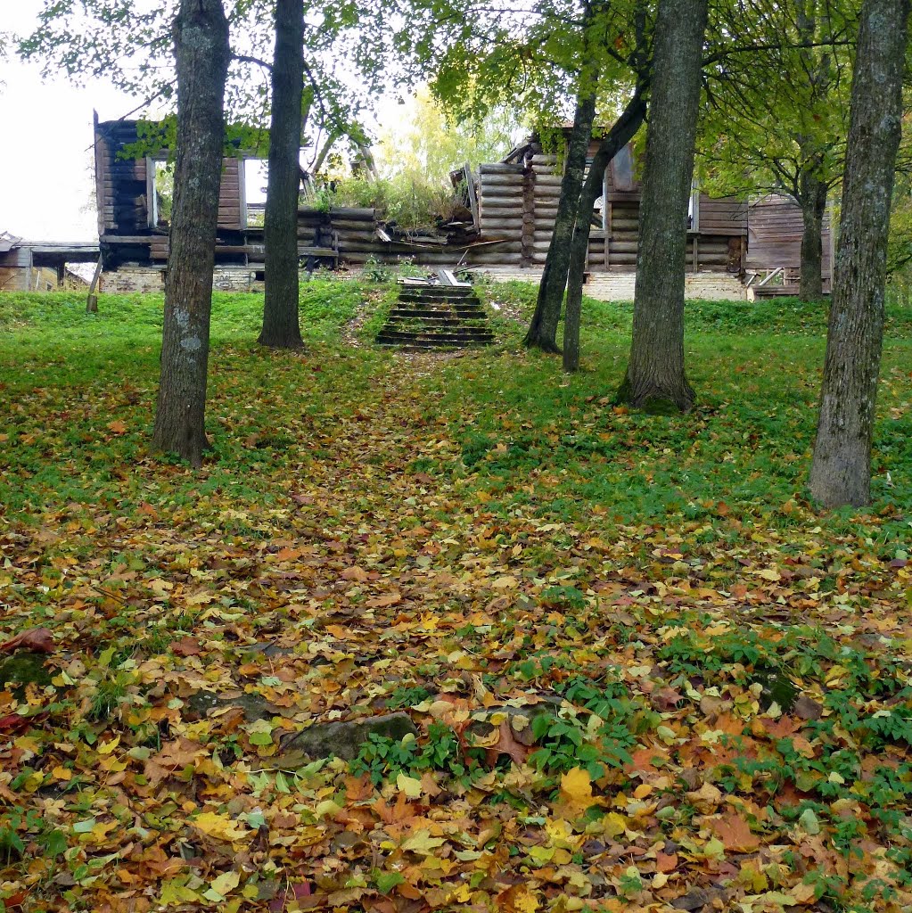 Руины главного дома усадьбы Меньшикова, Валдай, Валдай