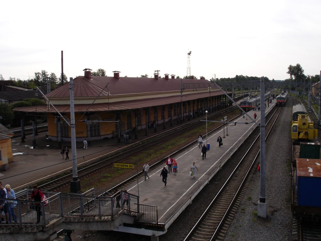станция Малая Вишера, Малая Вишера