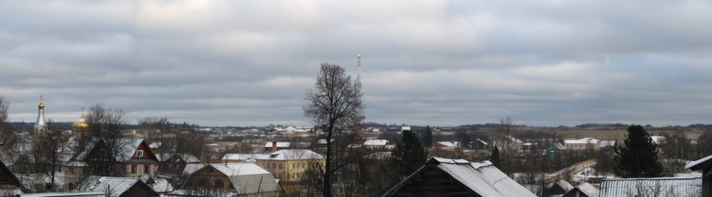 Moshenskoye.Panoramic view., Мошенское