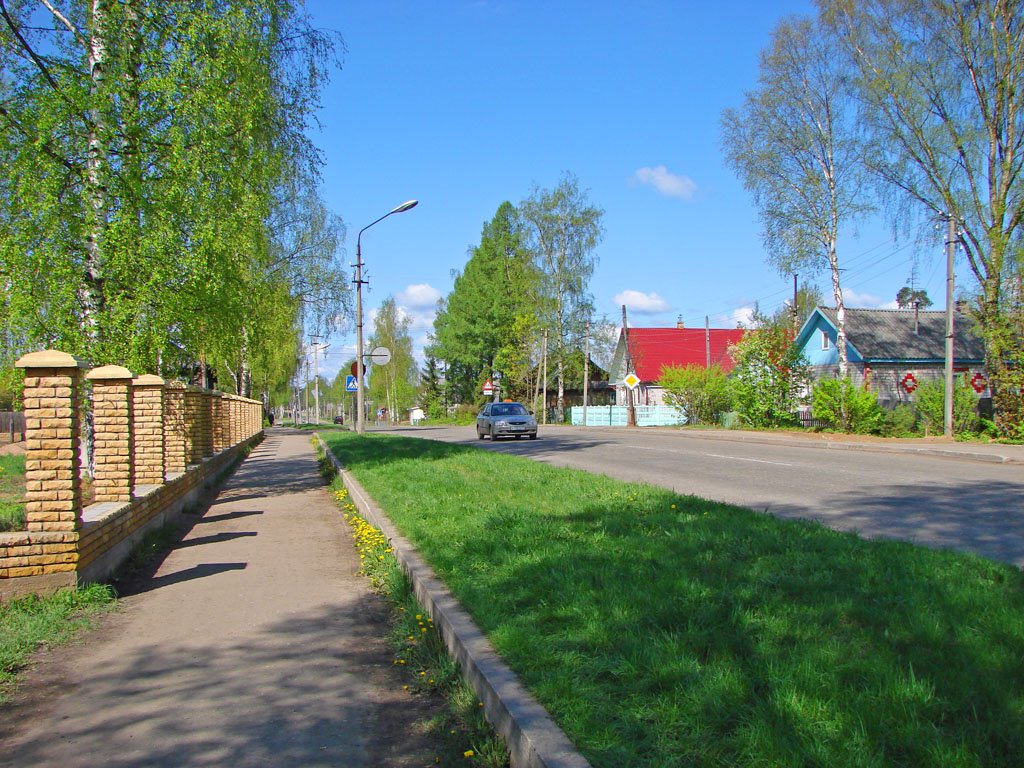 Улица Ленина, Пестово