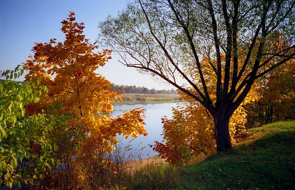 Река Молога. Осень, Пестово