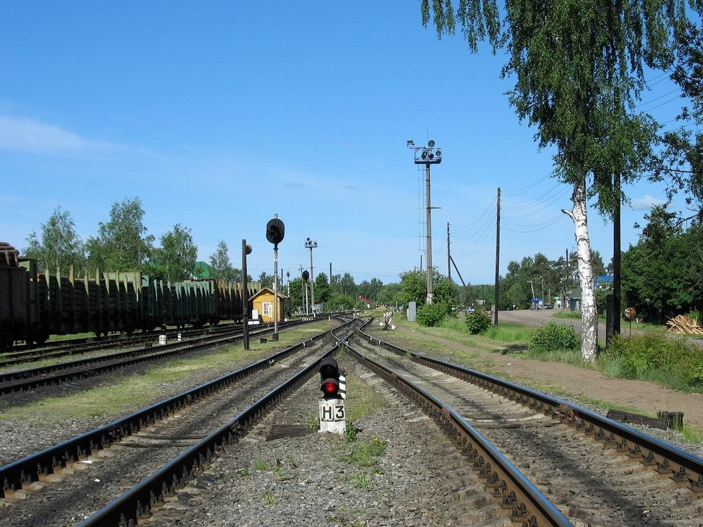 Pestovo station, Пестово