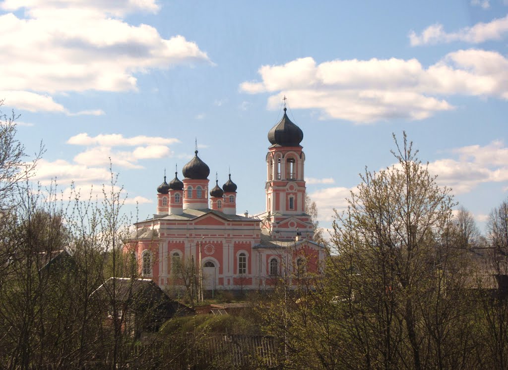 Krestsi, Russia/ Крестцы. Церковь XVIII века, Хвойное