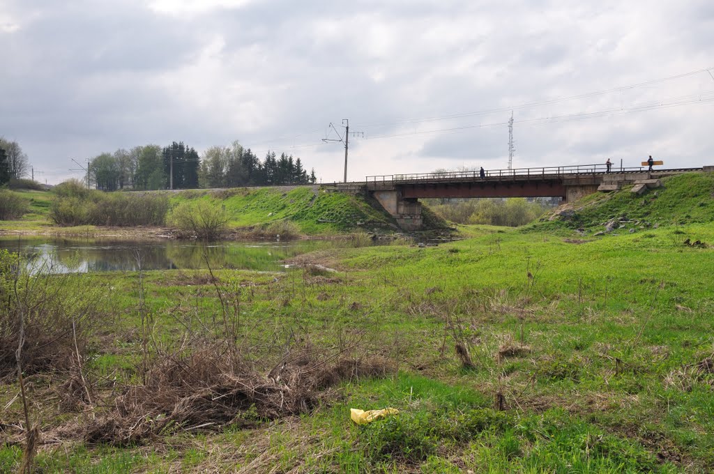 Новгородский мост, Чудово