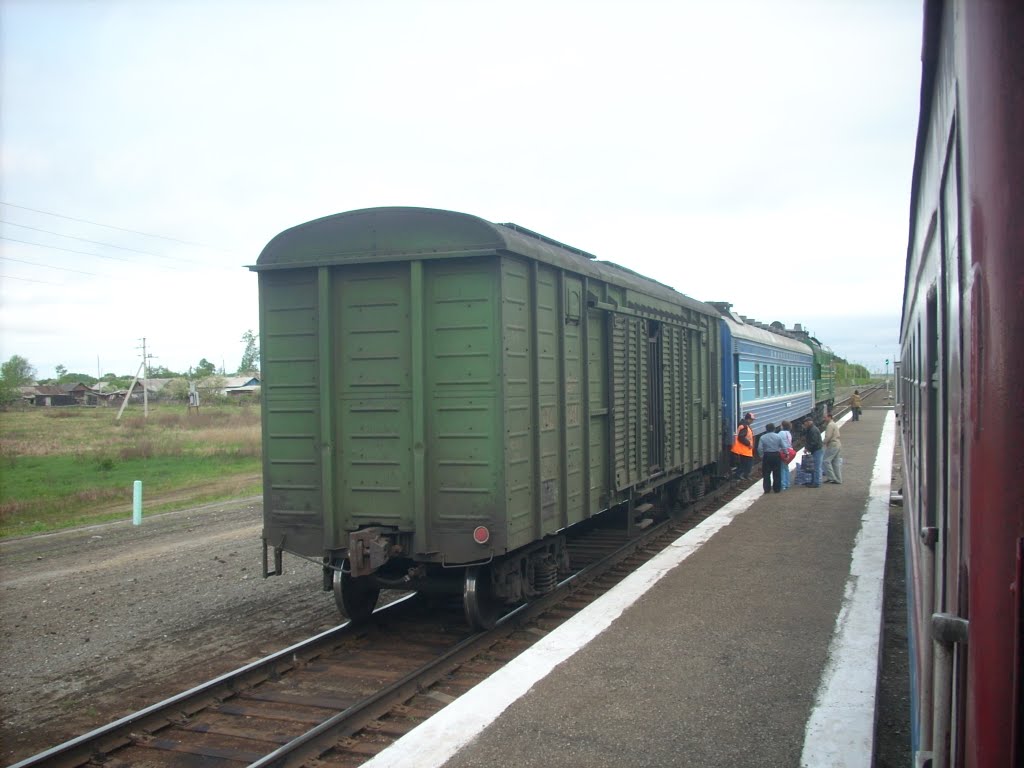 Поезд Карасук-Татарская, Баган