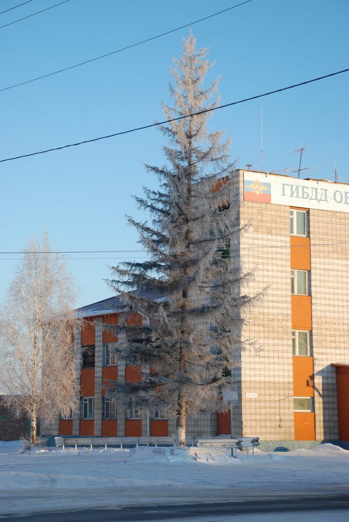 Berdsk Road Police office block (Здание ГАИ г.Бердска), Бердск