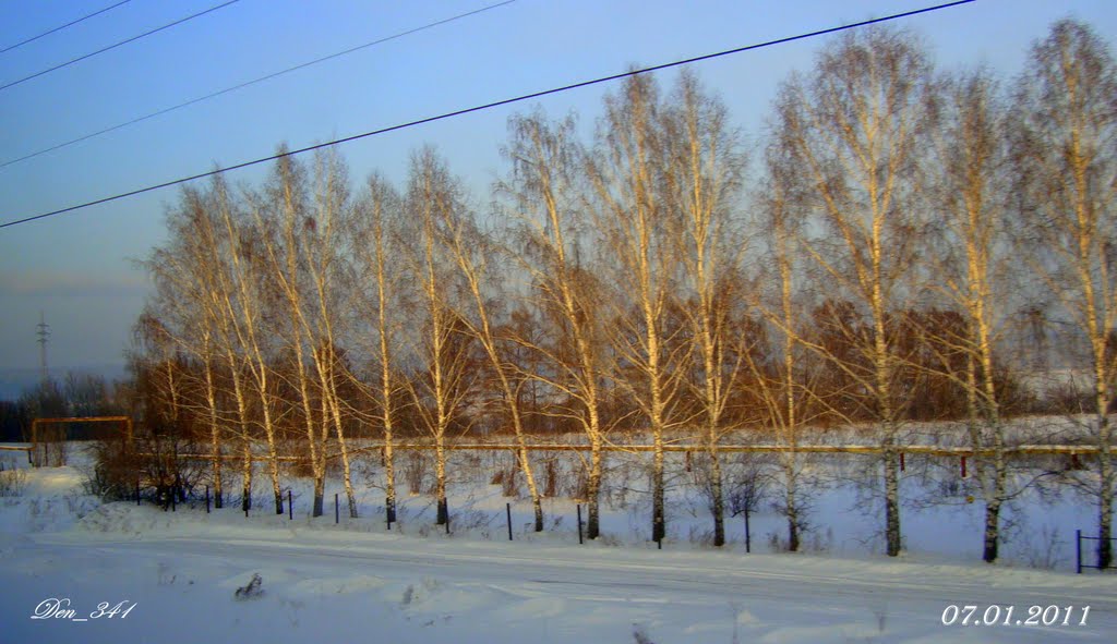 07/01/2011, Бердск