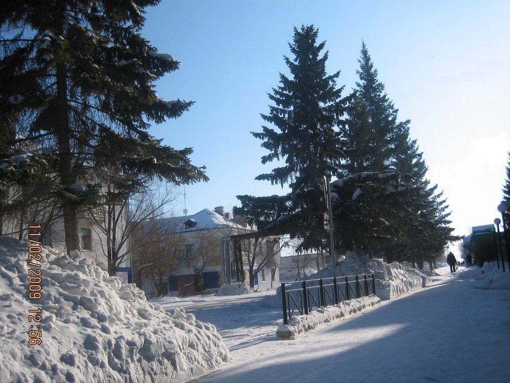 Снег выпал только в феврале (по настоящему), Карасук