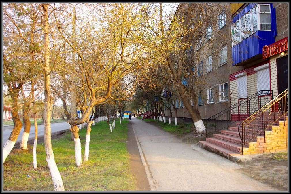 Улица Ленина, Карасук