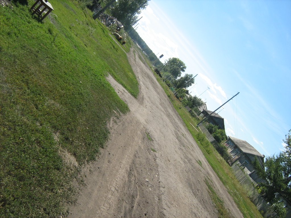 village Shipicyno, Крутиха