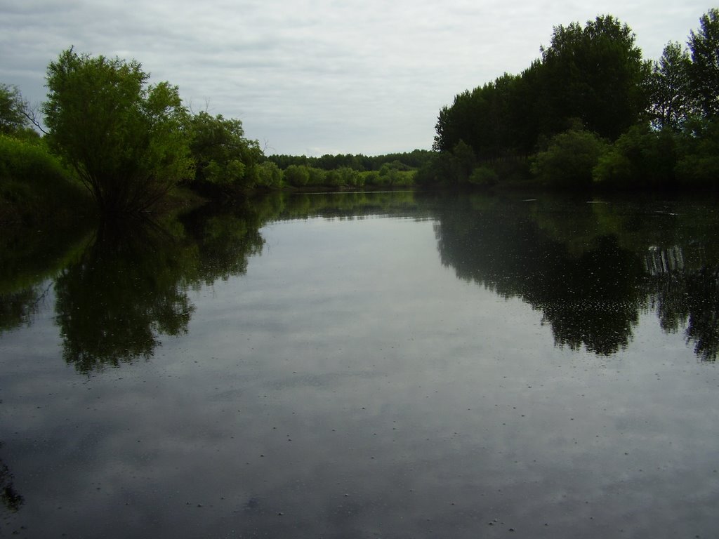 Staritsa, river Tartas, Крутиха