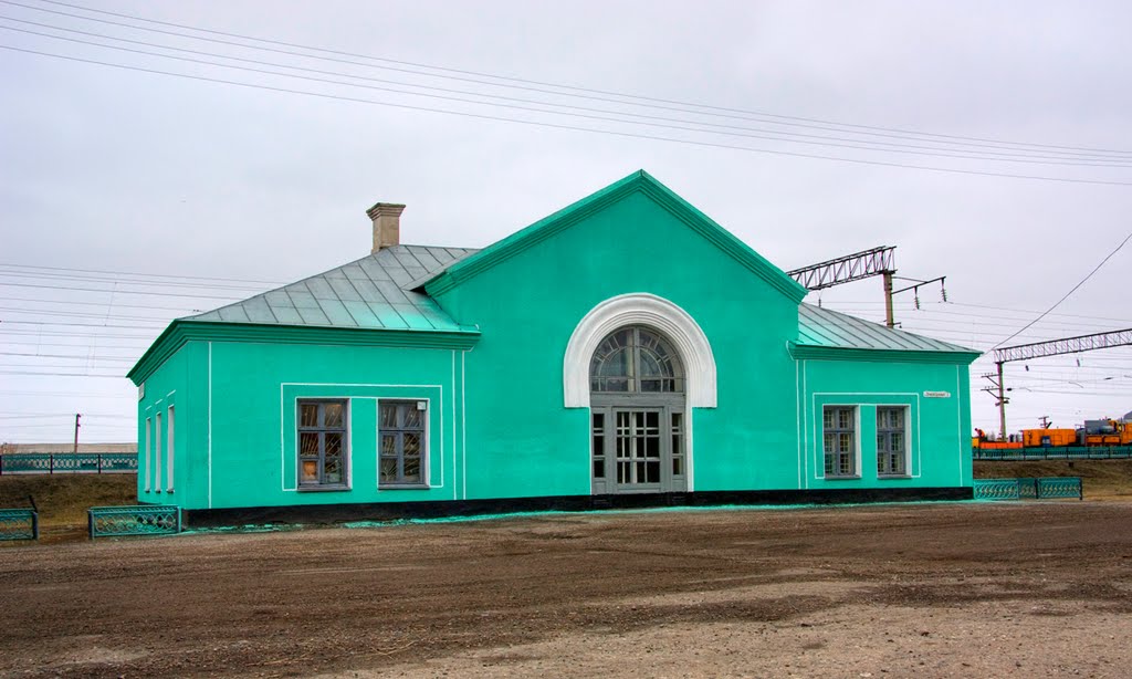 Станция Панкрушиха, вид с привокзальной площадки, Михайловский