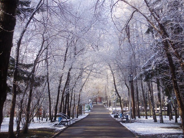 А мы не ждали снега..../Nice shot winter, Новосибирск