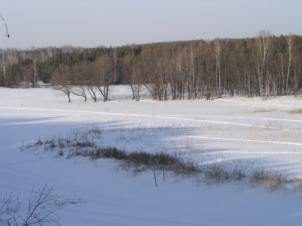 р. Орда, левый берег зимой (Ордынское, Новосибирская область), Ордынское