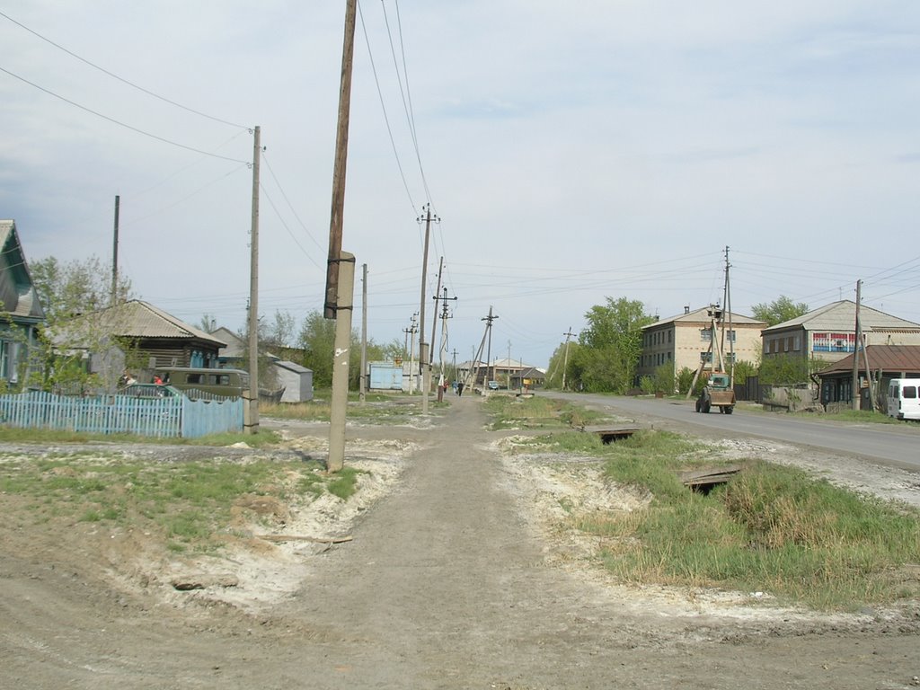 Улица и солончаки, Татарск
