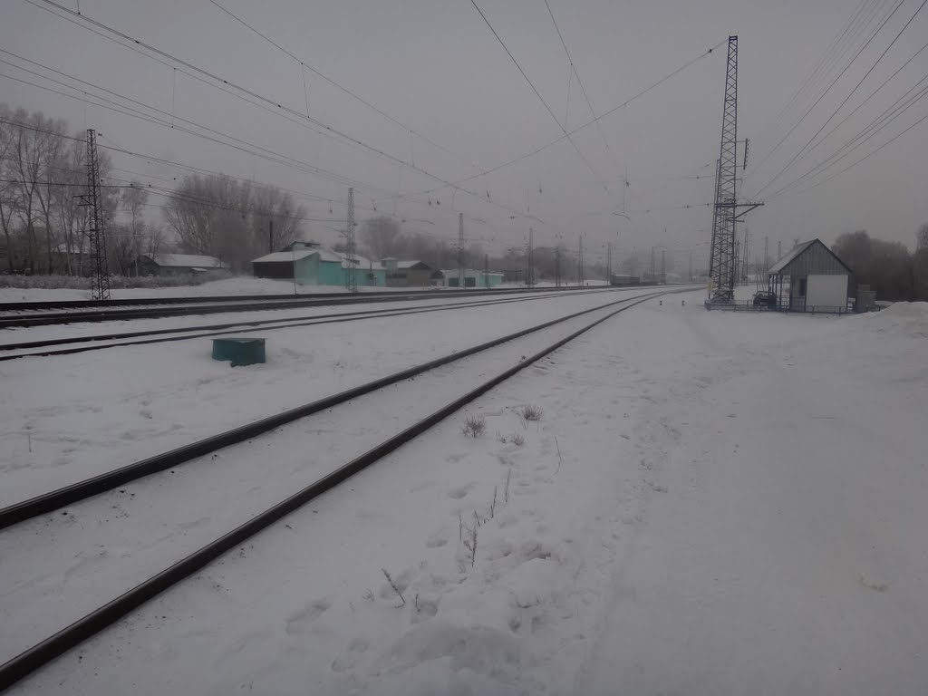 Станция Тогучин, Вид в сторону Новосибирска, Тогучин