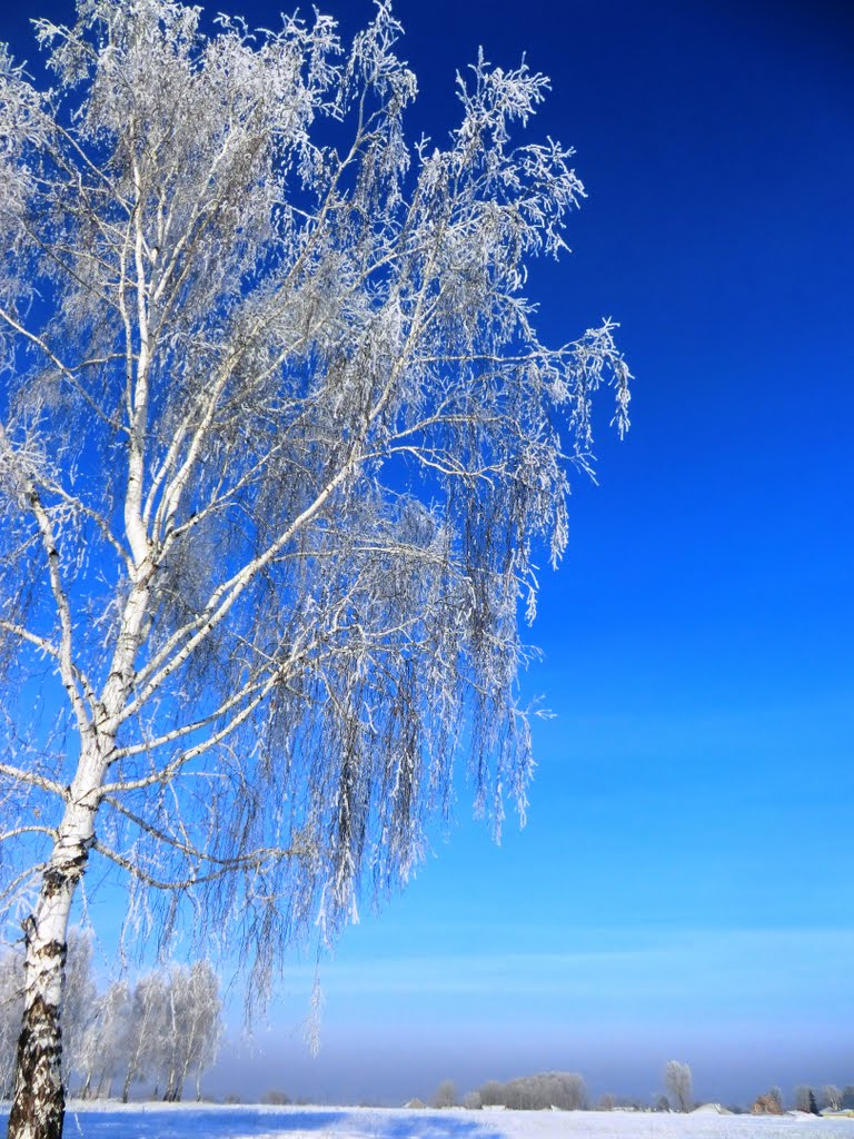 Winter. Sun and Frost, Тогучин