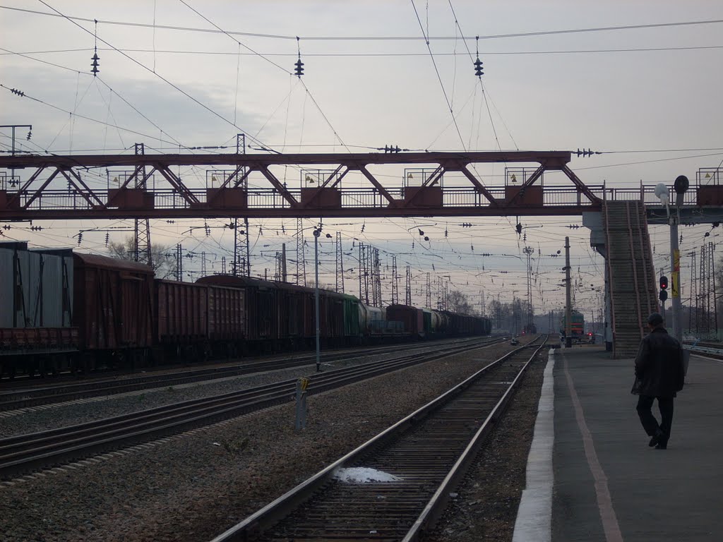 Вторая платформа, Вид в сторону Барнаула, Черепаново