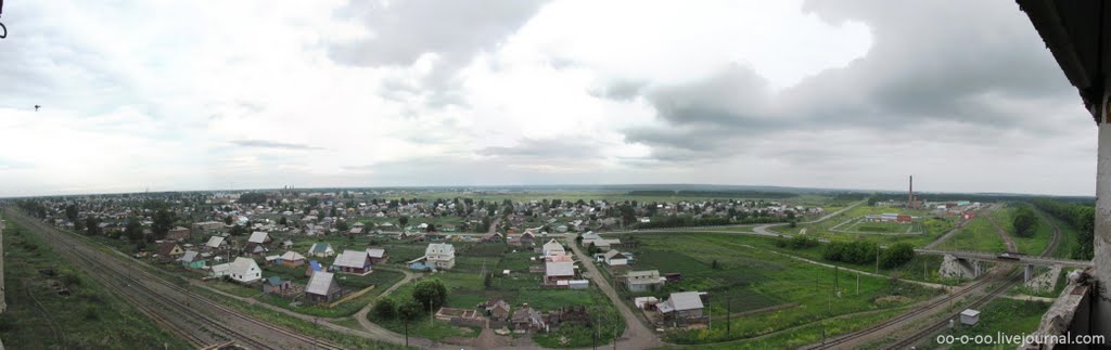 Восточная панорама Черепаново с заброшенного элеватора (лето 2010), Черепаново