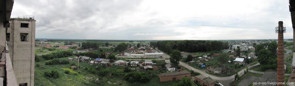 Западная панорама Черепаново с заброшенного элеватора (лето 2010), Черепаново