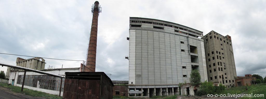 Панорама комплекса заброшенных элеваторов в Черепаново, Черепаново