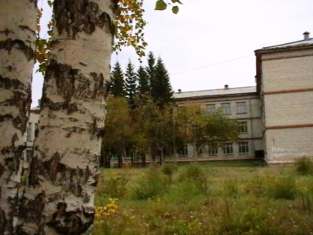 Вид на школу со двора, Береговой