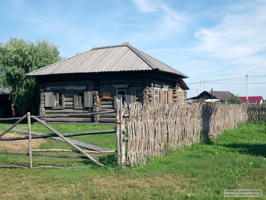 Дом ямщика Копьева, 1790 год, Большеречье. The house of coachman Kopeva, 1790, Village Bigrivers, Omsk area, Большеречье
