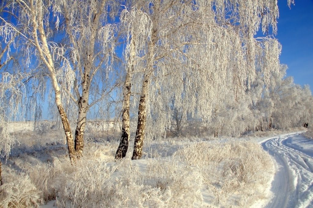 Зима, Калачинск