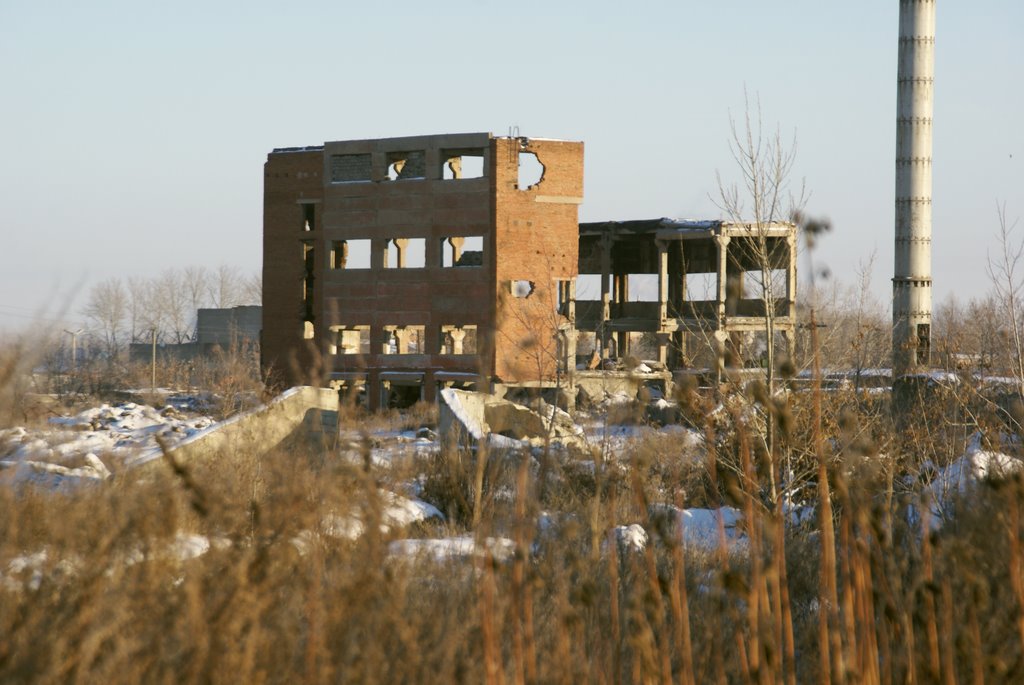 Развалины завода ЖБИ, Калачинск