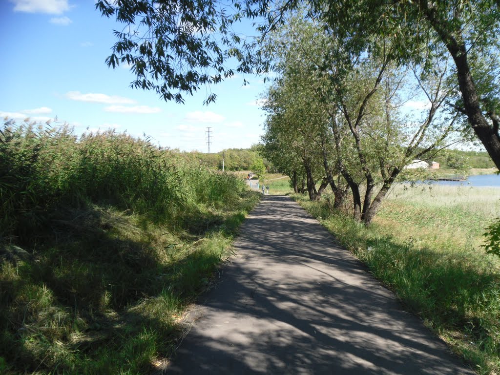 аллея в парке, Калачинск