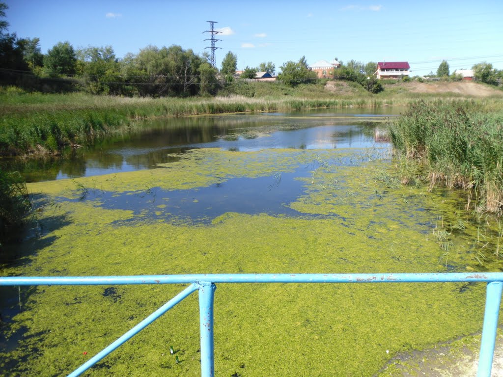 чистый пруд, Калачинск