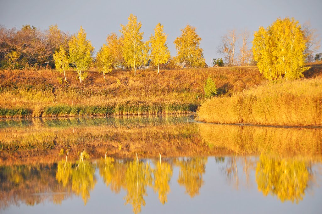 Золотая осень, Калачинск