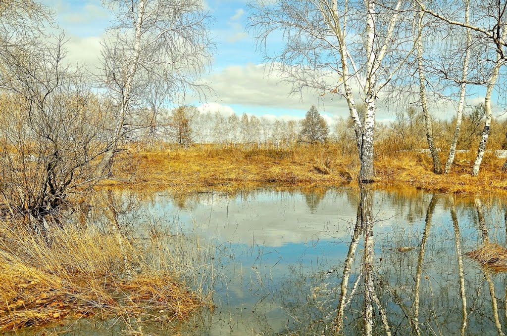Весеннее отражение, Калачинск