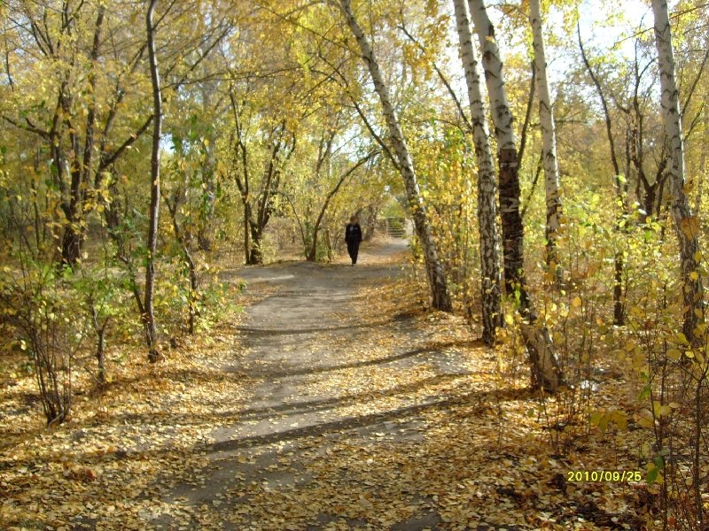 Осенняя дорожка, Любинский