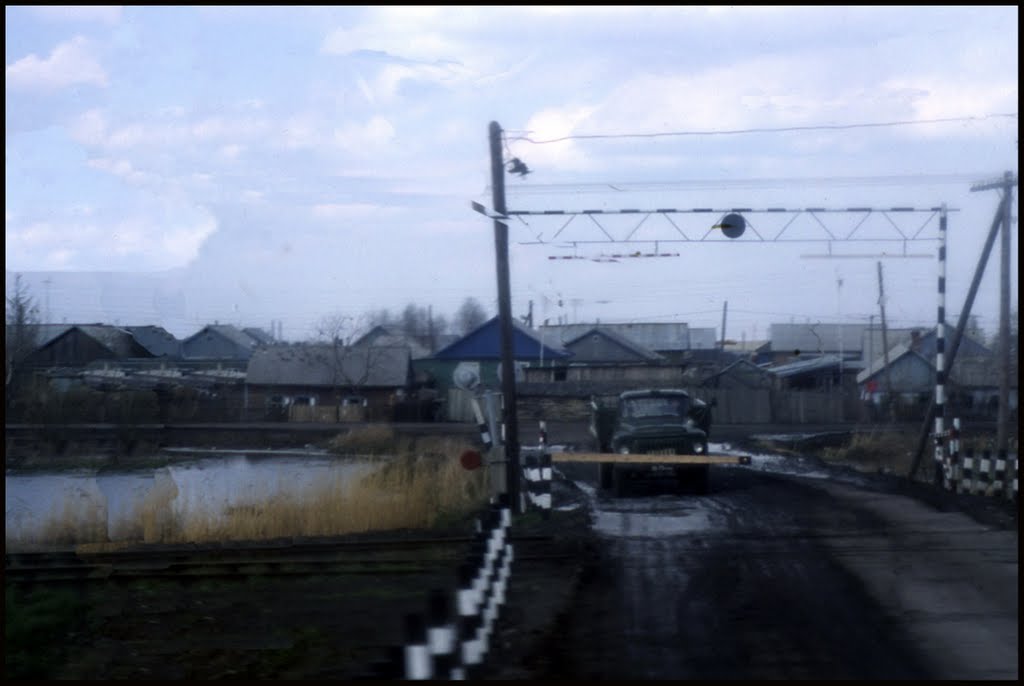 Near Omsk 11.05.1986., Любинский