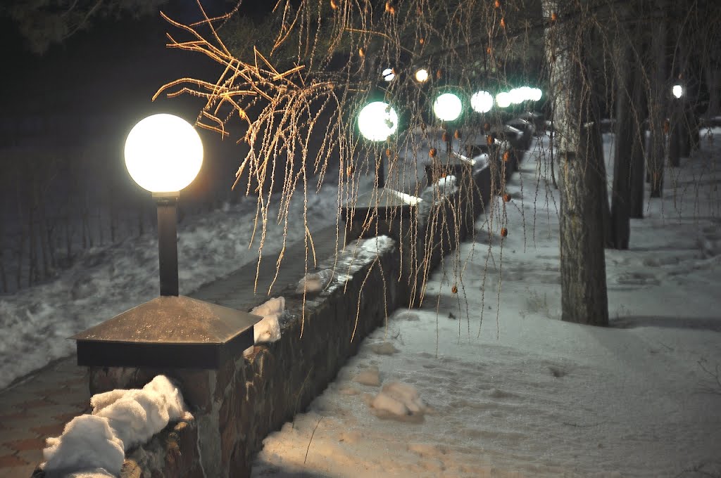 Ночные фонари в Мечте, Любинский