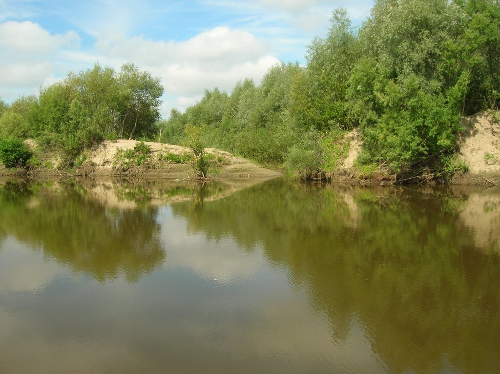 Муромцево, река Тара, Муромцево