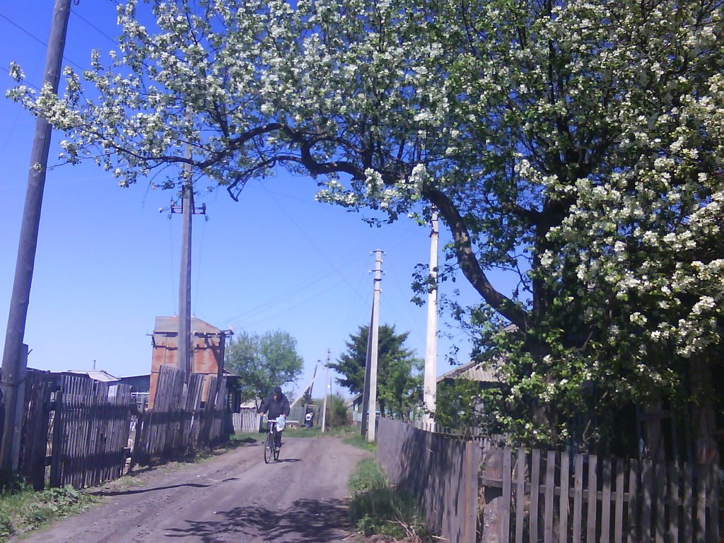 улица Партизанская, Муромцево