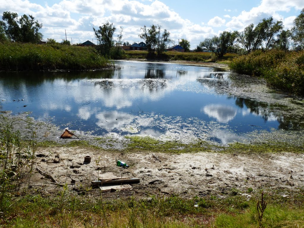Заброшенный пруд, Павлоградка