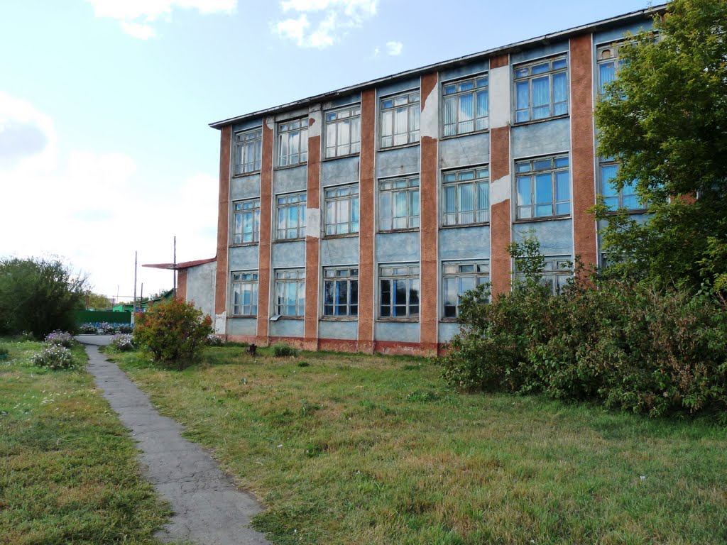 школа №2, Павлоградка