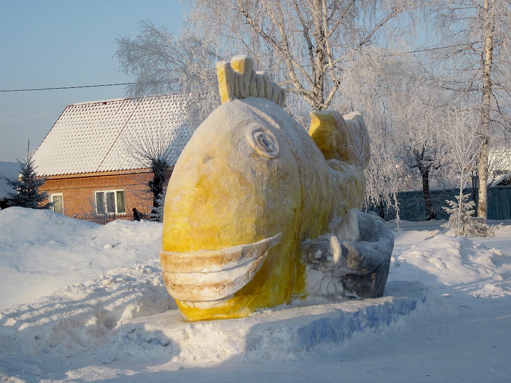 Царь рыба (поймана в Иртыше под Самсоновским мостом :), Тара