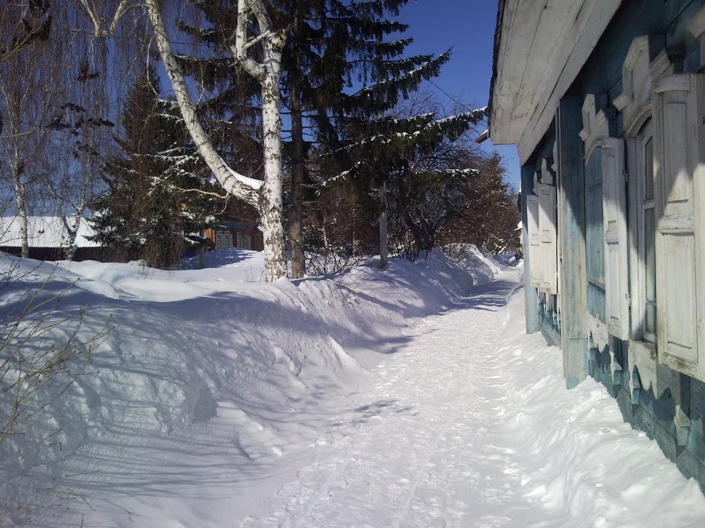 Снежный март 2013 г., Тара