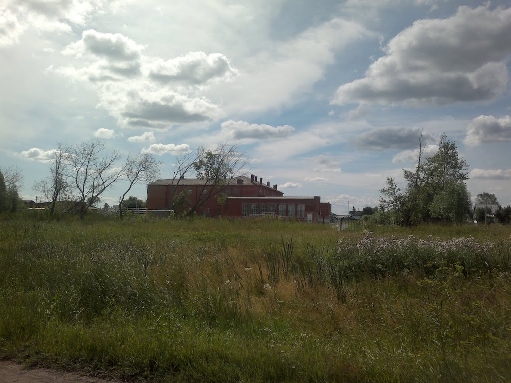 здание из красного кирпича, Тюкалинск