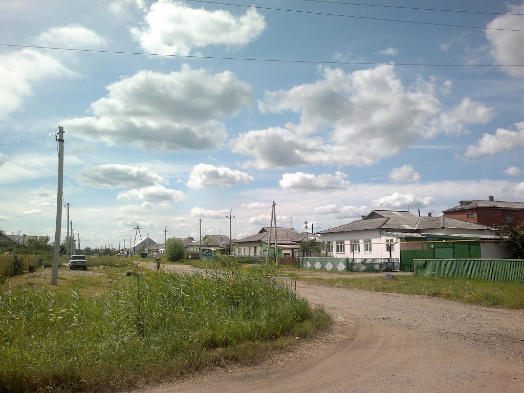 перекресток, дорога в городок, Тюкалинск