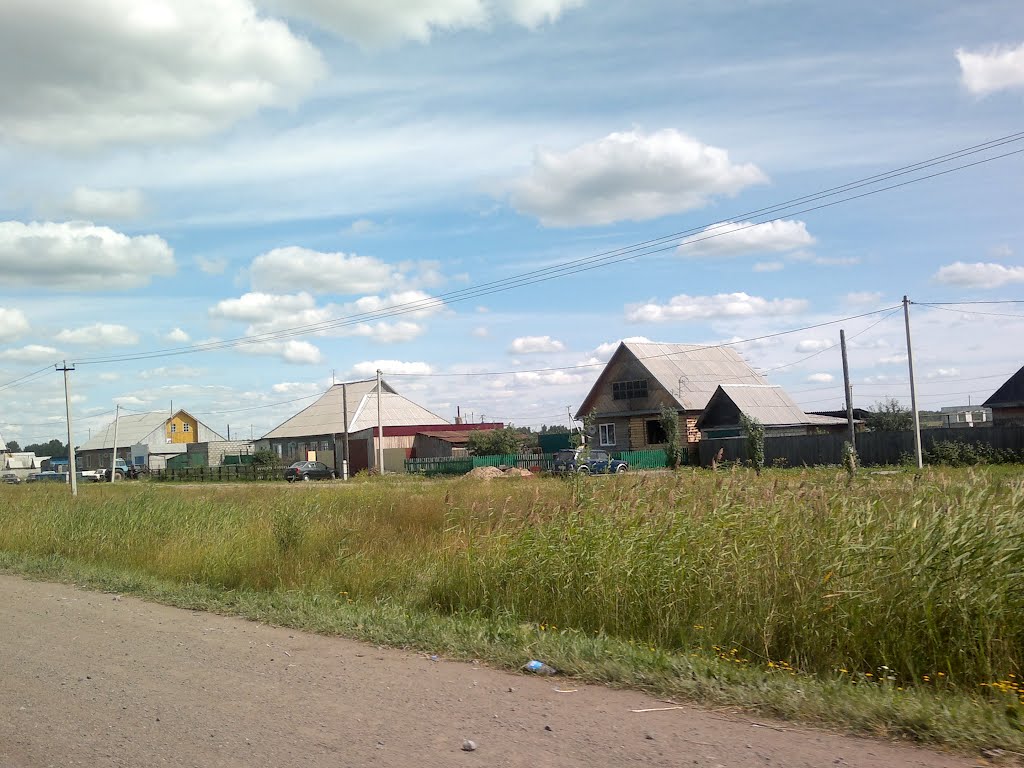 добротные дома, рядом с дорогой, Тюкалинск